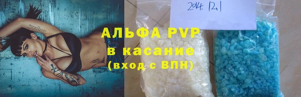 стаф Волоколамск