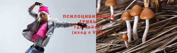 дживик Володарск