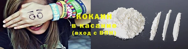 сатива Волосово