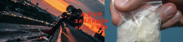 стаф Волоколамск
