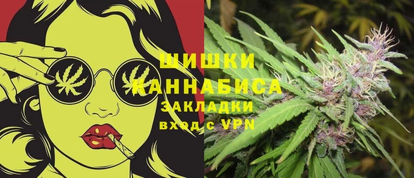 стаф Волоколамск