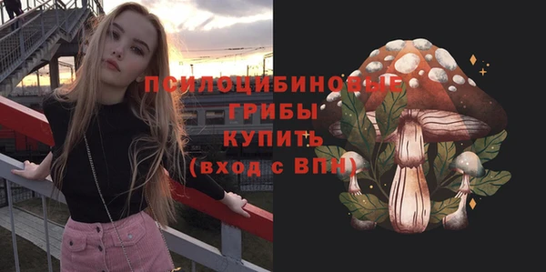 дживик Володарск