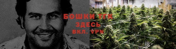 дживик Володарск