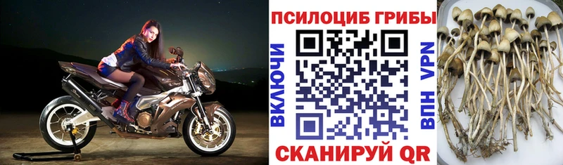 Псилоцибиновые грибы ЛСД  OMG ссылки  Арзамас 